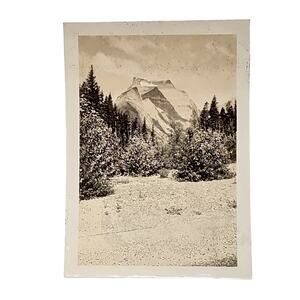Vtg B&W Photo 1940 Found Yellowstone National Park Snowy Trees Mountain Snapshot